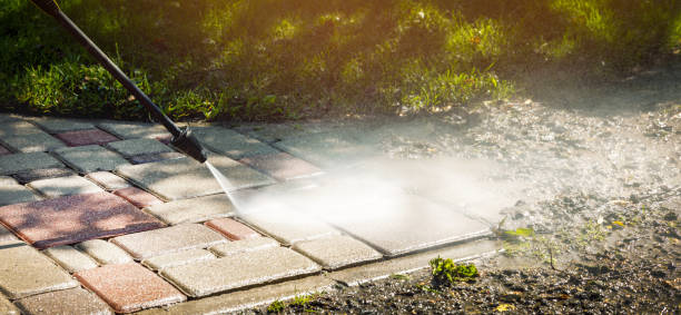 Best Solar Panel Cleaning  in Janesville, CA